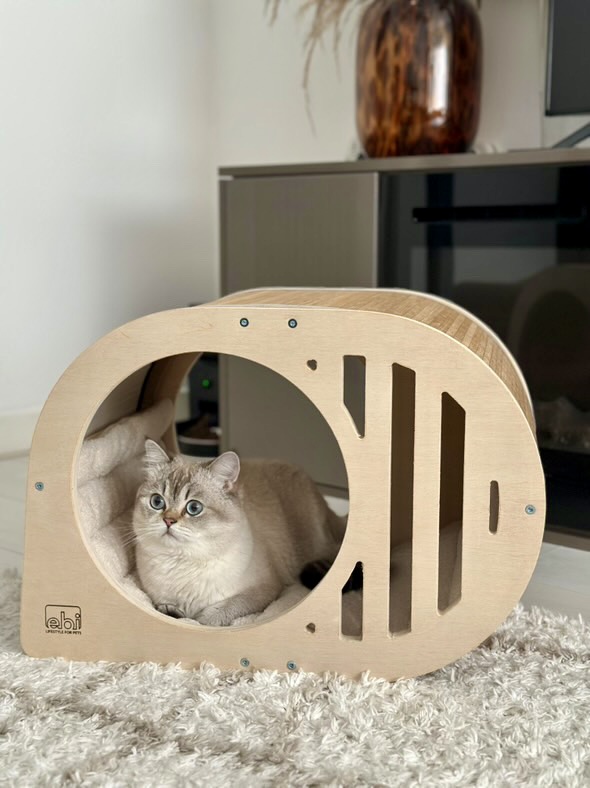 [431/474242] Tara Katzenkorb