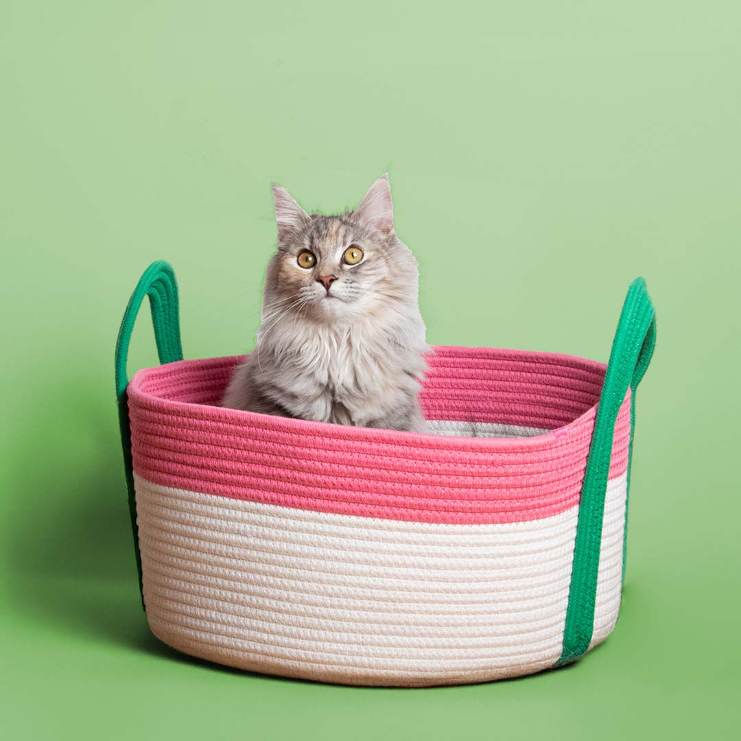 [673/485101] Kattenmand BINGE [roze/groen (Roze)]
