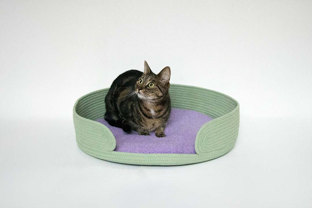 [675/487419] Kattenmand XL [groen/lilac (Groen)]