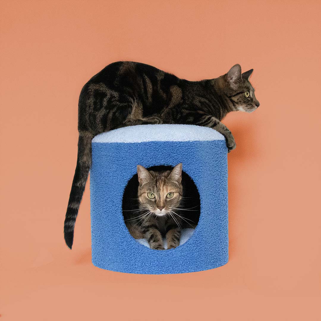 [675/487464] Casa para gatos HAPPY HOUSE [azul (Azul)]