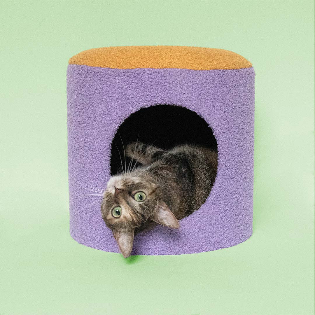 [675/487471] Casa para gatos HAPPY HOUSE [geel/paars (Amarillo)]