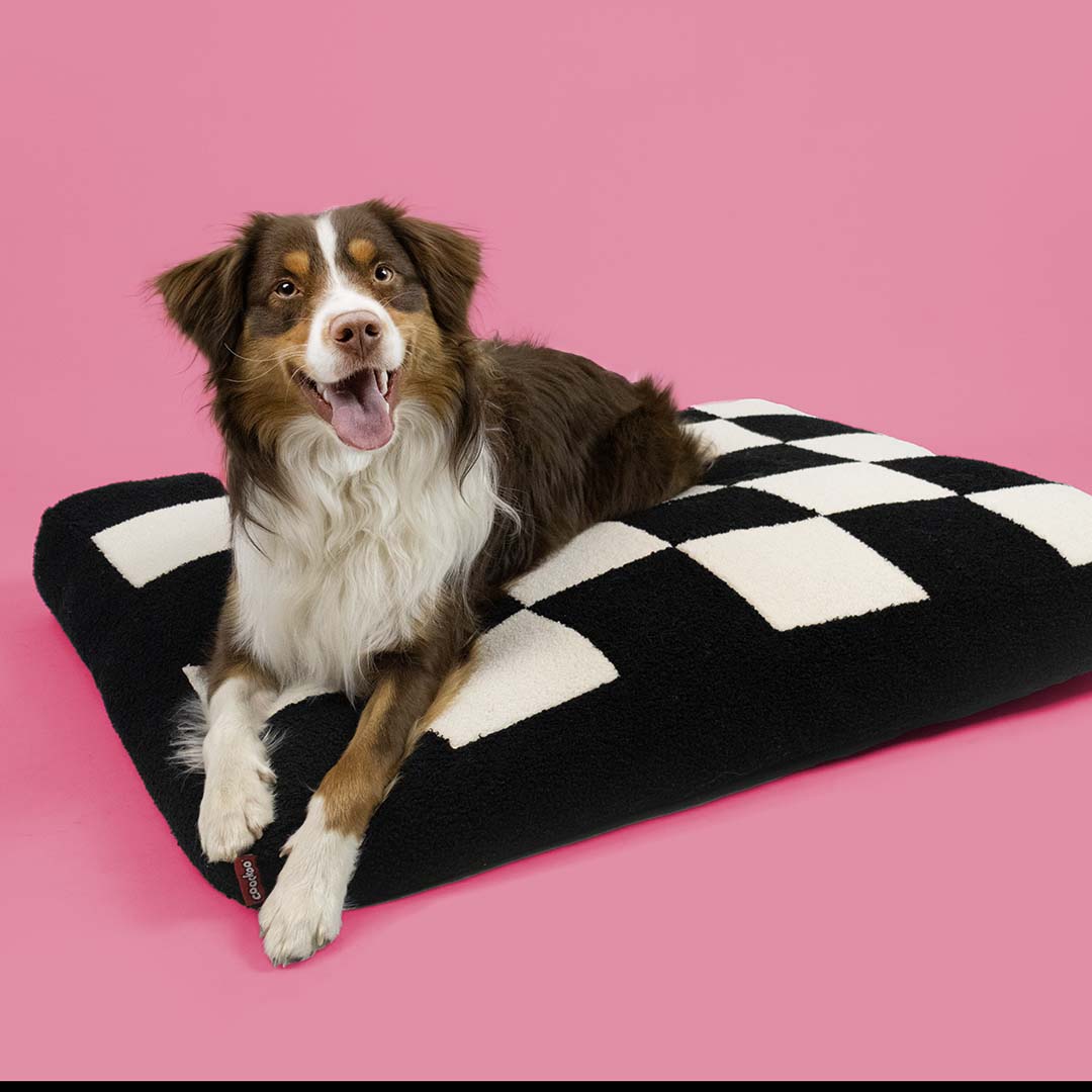 Dog cushion COZY BLOCK [black/white (Black)]