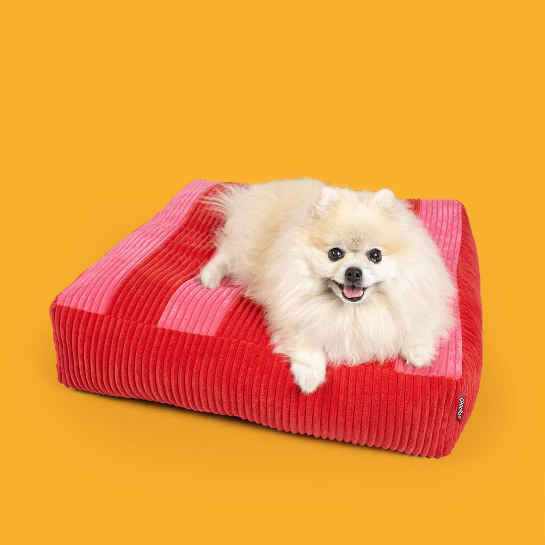 Dog cushion COZY STRIPE [red/pink (Red)]