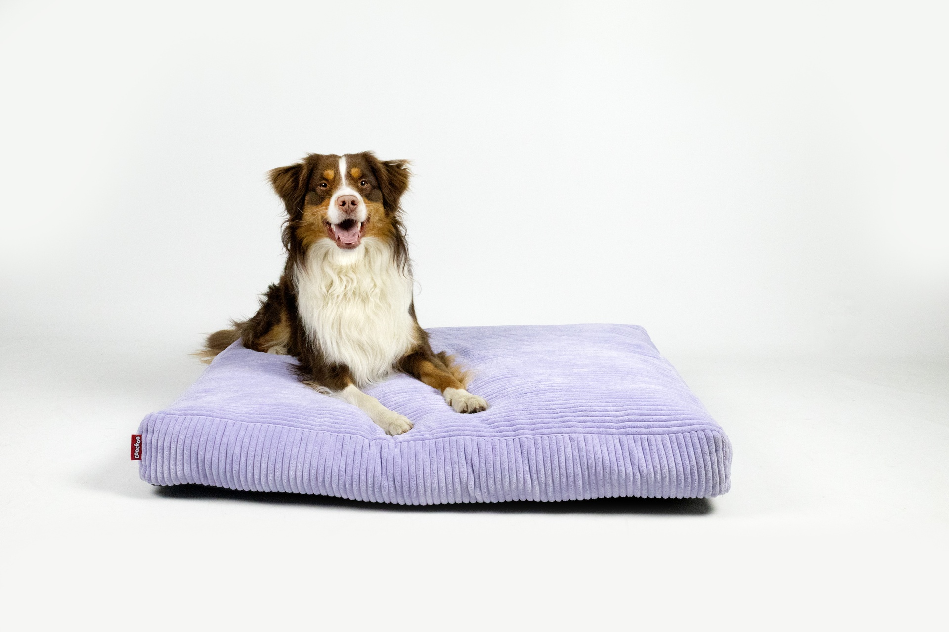 Dog cushion COZY UNI [purple (Purple)]
