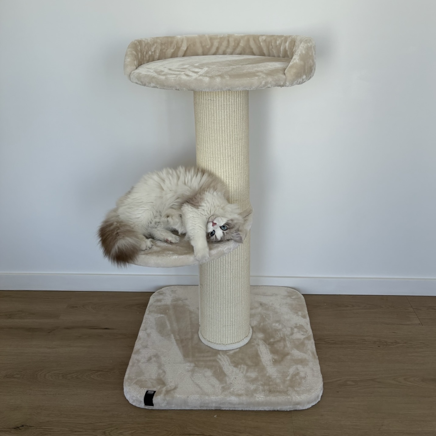 [431/483749] Cat tree Mumbai [cream (White)]