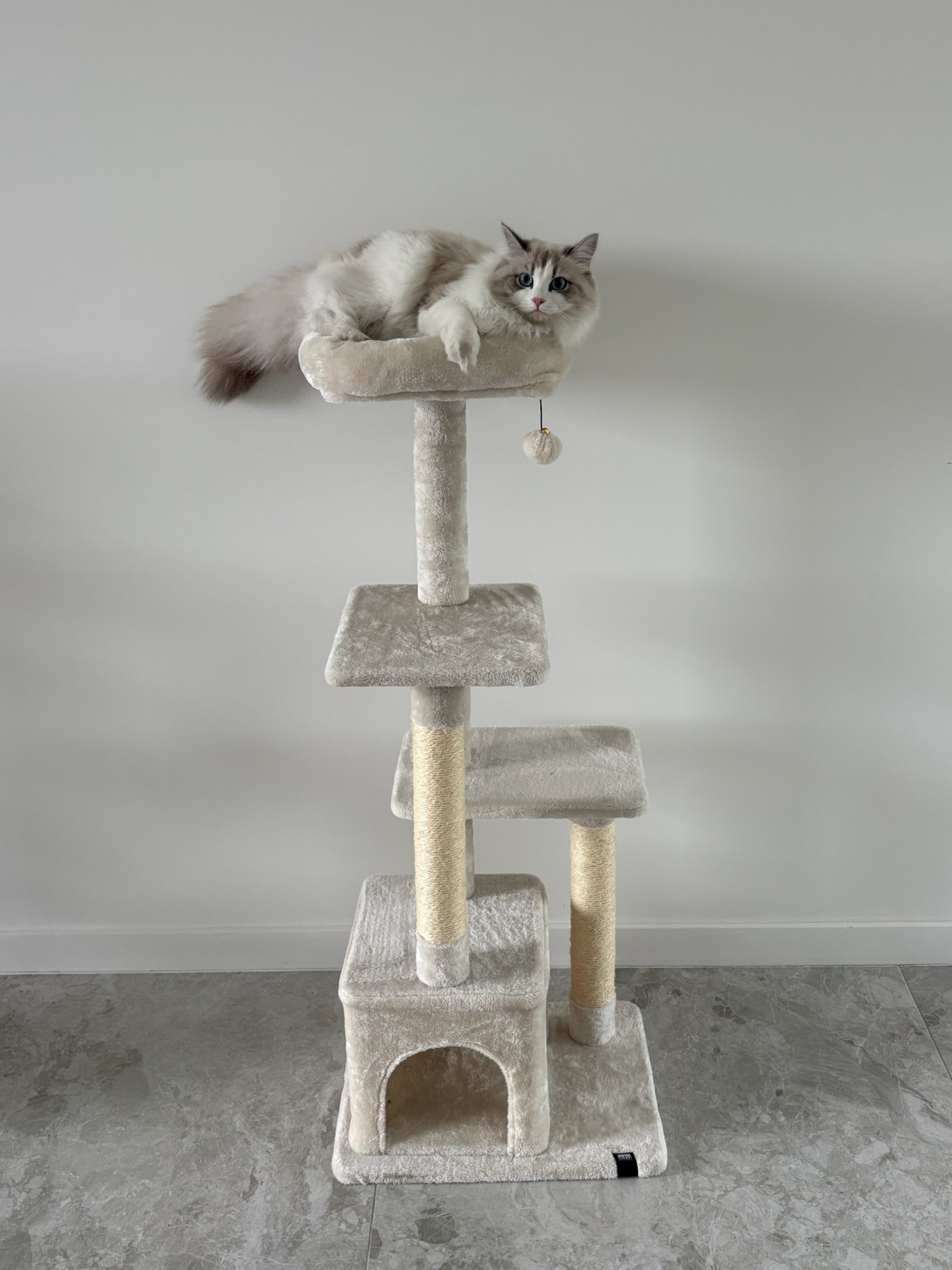 [431/480922] Scratching tree Oklahoma [cream (White)]