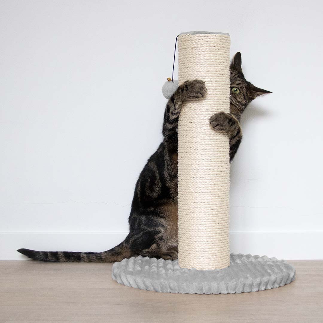 [431/488096] Scratching post Marbella [light gray (Gray)]