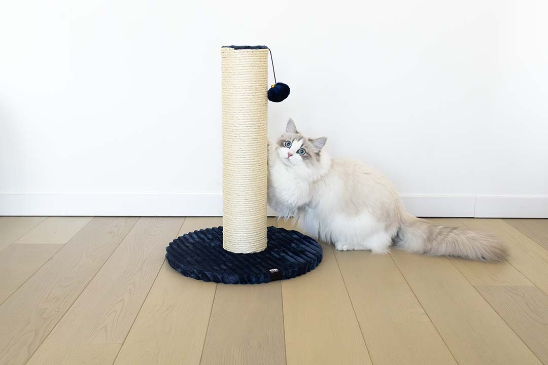 [431/488102] Scratching post Marbella [dark blue (Blue)]