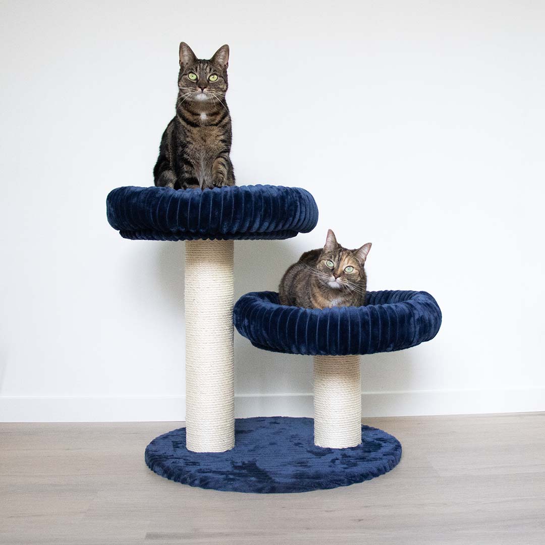 [431/488126] Scratching post Cordoba [dark blue (Blue)]