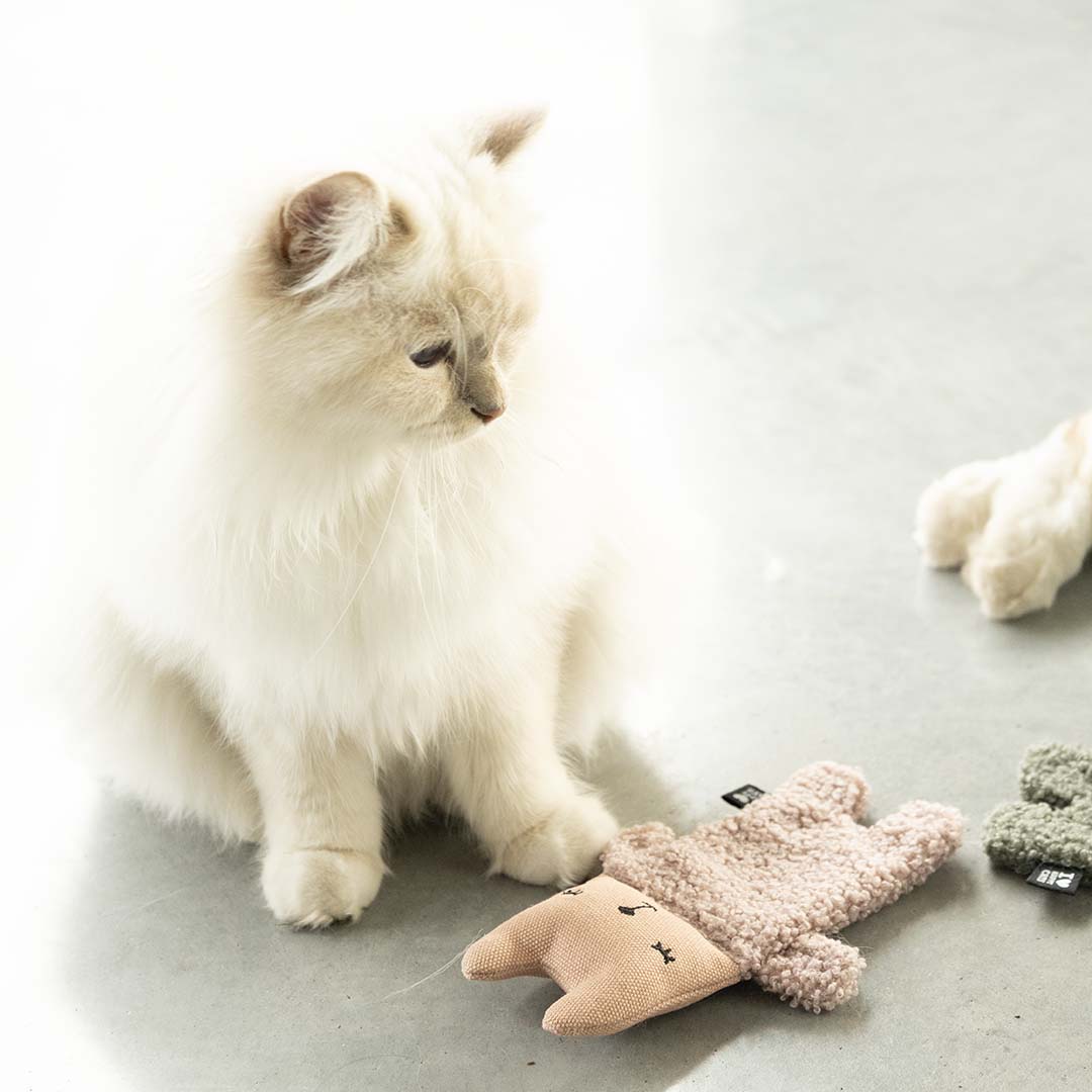 [402/488713] Katzenspielzeug ALFIE  [rosa (Rosa)]