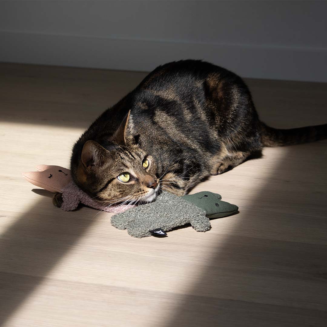 [402/488706] Katzenspielzeug ALFIE  [grün (Grün)]