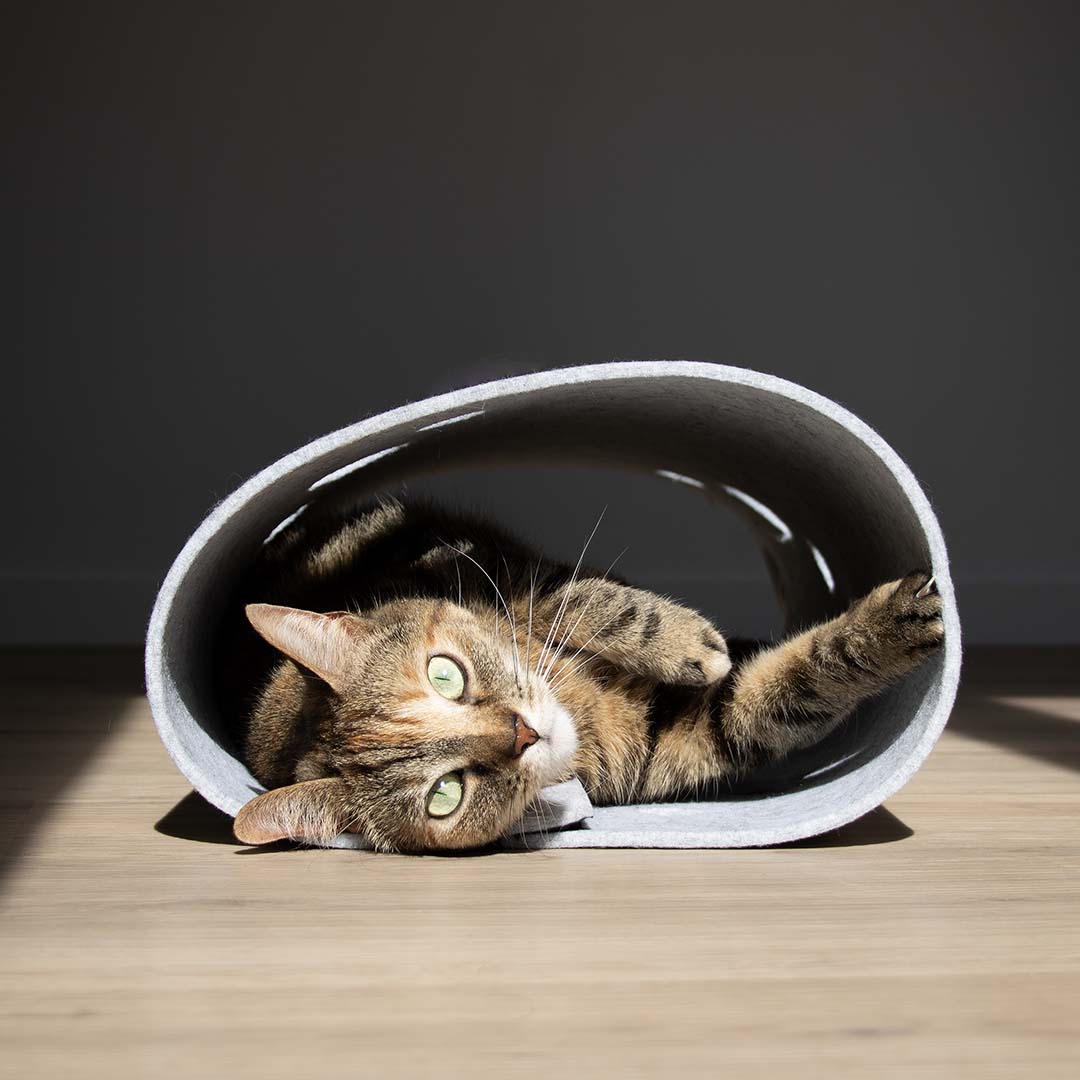 [434/488782] Speeltunnel LANA [gris (Gris)]