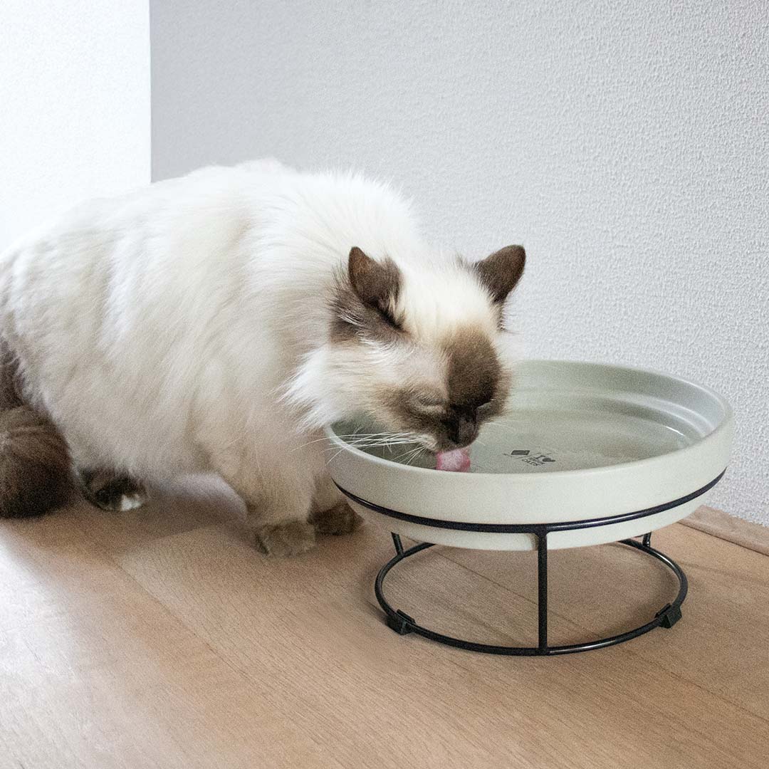 [629/488775] Standaard DASH 2-in-1 voor SUE & ACE [noir (Noir)]