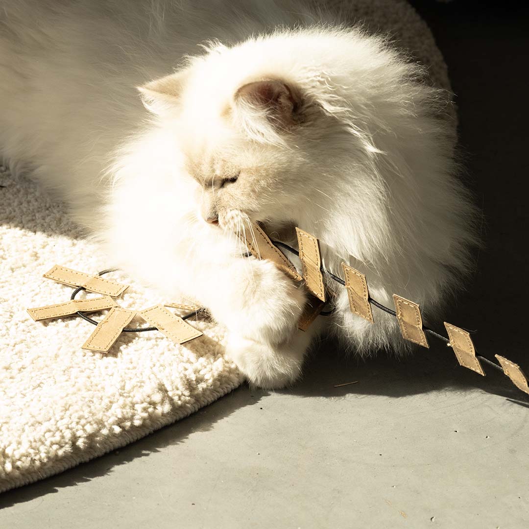 [408/489062] Speelhengel COOPER [zwart/beige (Noir)]