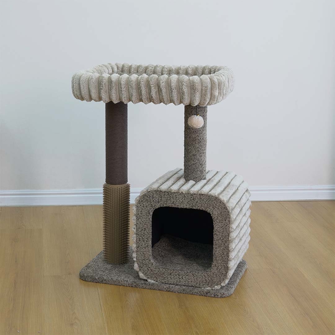 [431/489246] Krabpaal Pisa [brown (Brown)]