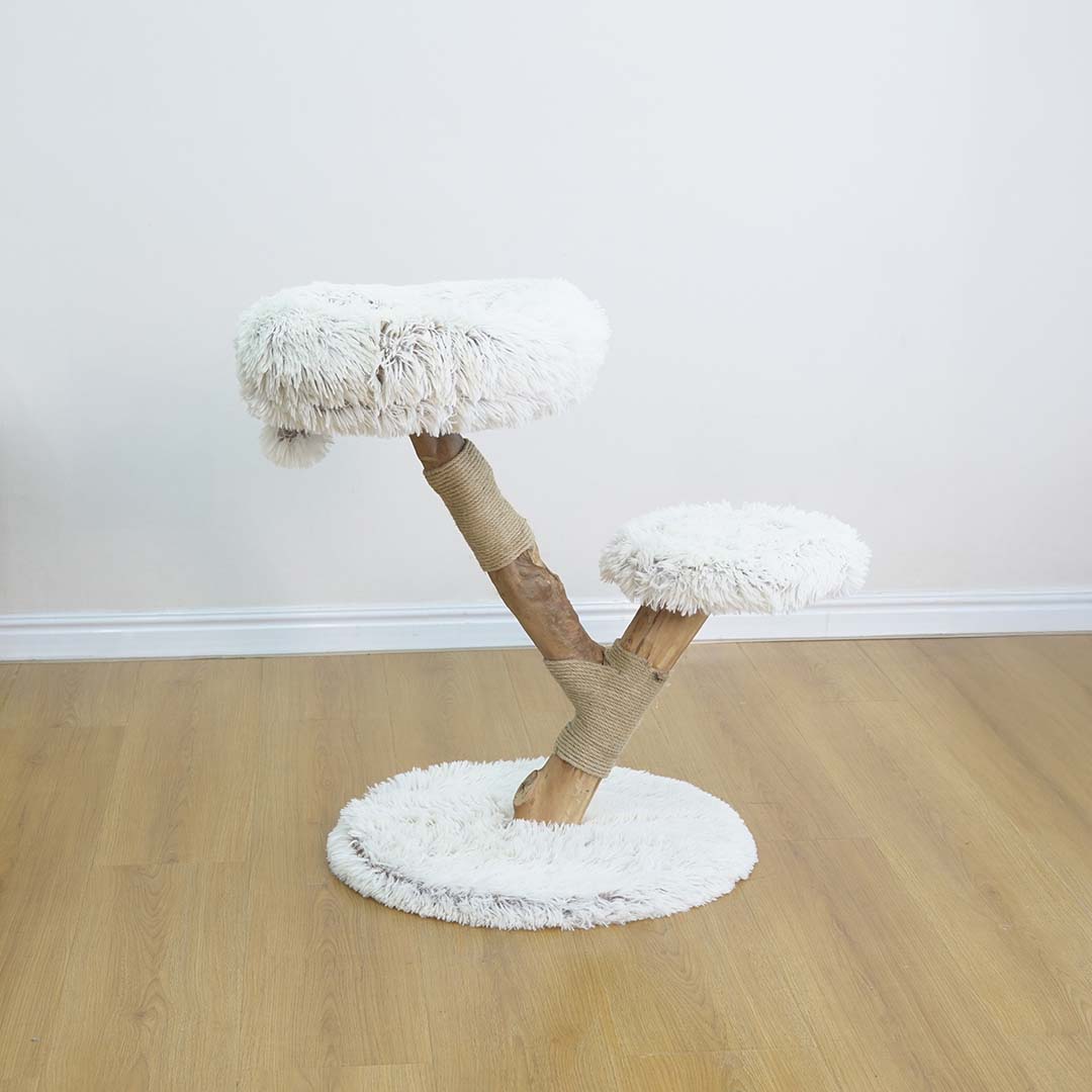 [431/489185] Krabpaal Mendoza [white (White)]