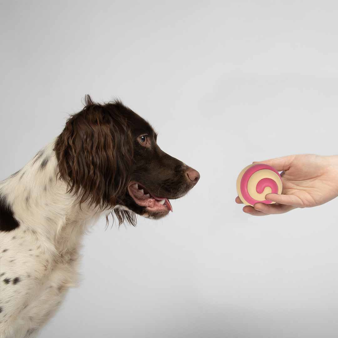 [303/485422] Hundespielzeug BERRY SWIRL